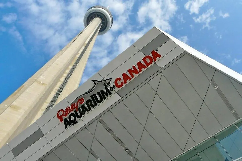 Apartmán Modern 1Br King Suite, Central Downtown Toronto